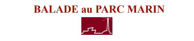 Séjour avec balade au parc marin - Les Gîtes de Fabie