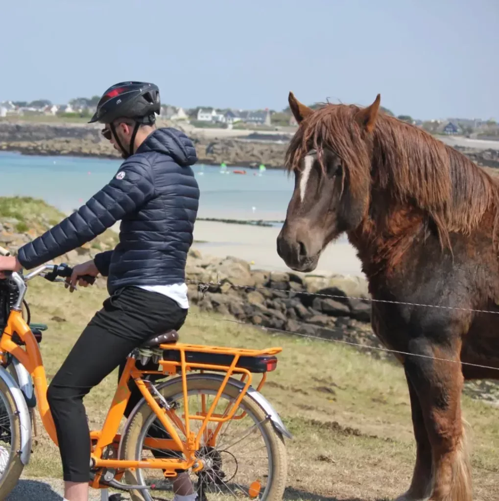 Les Freres complices, Porspoder, partenaire des Gîtes de Fabie
